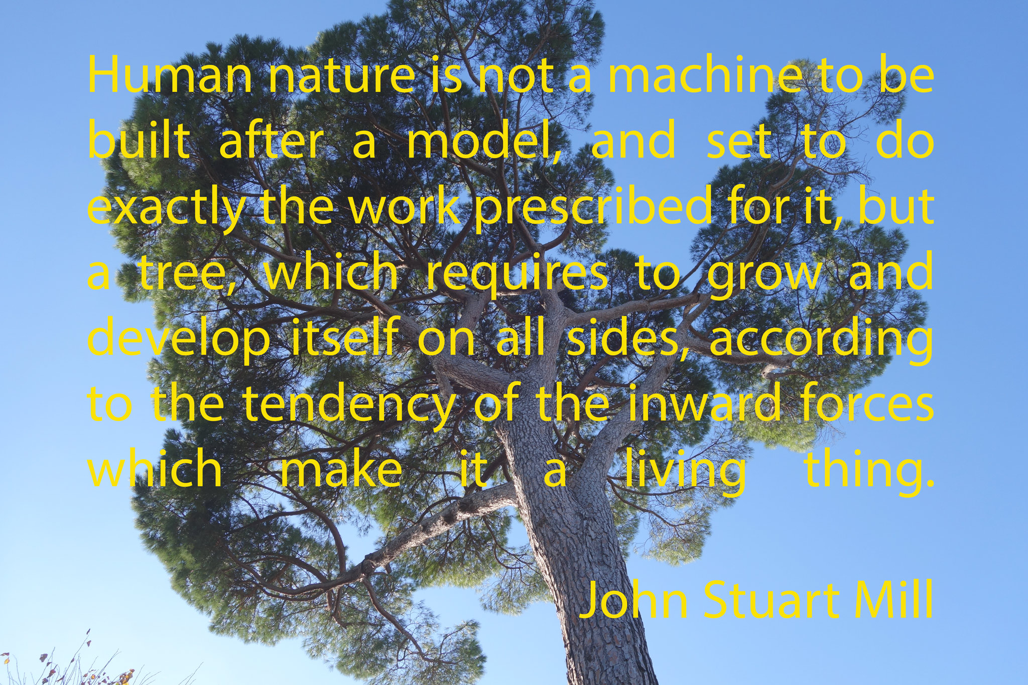 John Stuart Mill's Image of Human Life Like a Tree